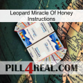 Leopard Miracle Of Honey Instructions kamagra1